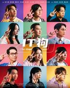《it狗20》免费电视剧4K高清完整版在线免费播放