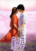 薰衣草的花语