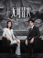 无可替代电视剧免费观看全集在线高清第1集