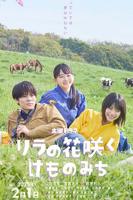《丁香花》高清完整版播放免费HD中字在线播放